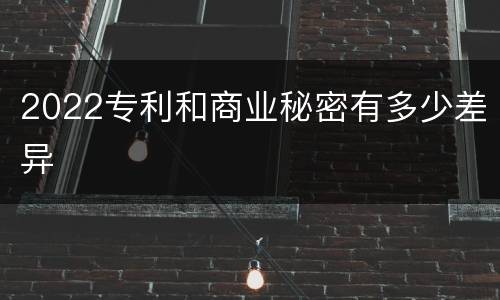 2022专利和商业秘密有多少差异