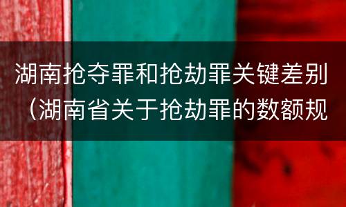湖南抢夺罪和抢劫罪关键差别（湖南省关于抢劫罪的数额规定）