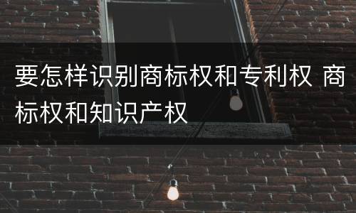 要怎样识别商标权和专利权 商标权和知识产权