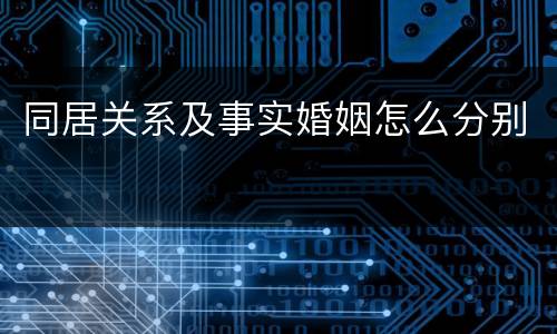 同居关系及事实婚姻怎么分别