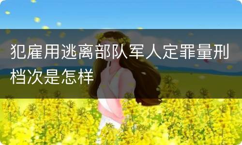 犯雇用逃离部队军人定罪量刑档次是怎样