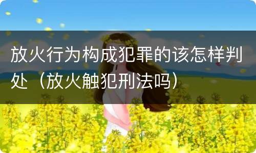 放火行为构成犯罪的该怎样判处（放火触犯刑法吗）