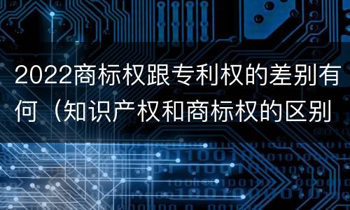 2022商标权跟专利权的差别有何（知识产权和商标权的区别）