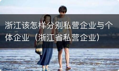 浙江该怎样分别私营企业与个体企业（浙江省私营企业）