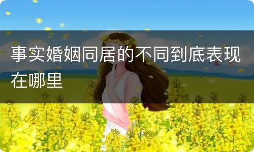 事实婚姻同居的不同到底表现在哪里