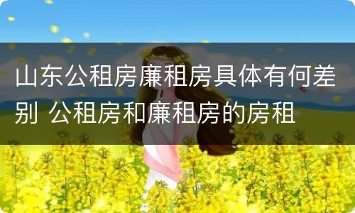 山东公租房廉租房具体有何差别 公租房和廉租房的房租