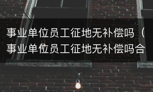 事业单位员工征地无补偿吗（事业单位员工征地无补偿吗合法吗）