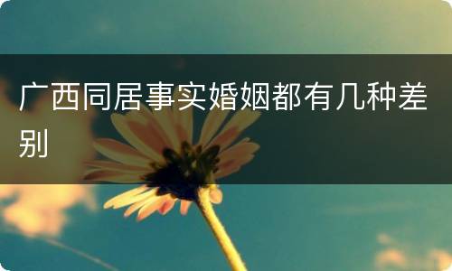 广西同居事实婚姻都有几种差别