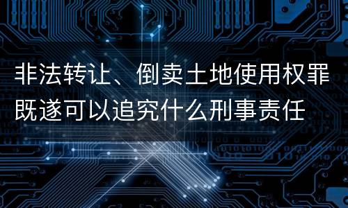 非法转让、倒卖土地使用权罪既遂可以追究什么刑事责任