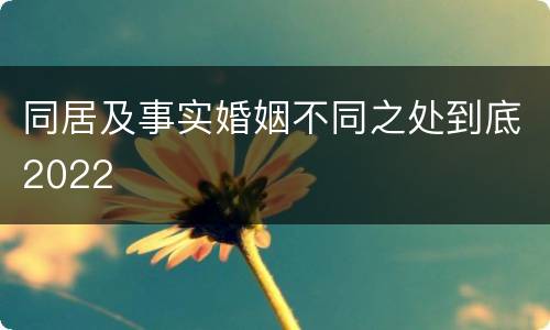 同居及事实婚姻不同之处到底2022