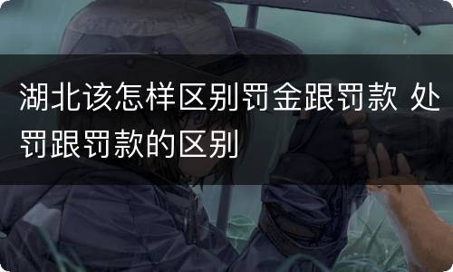 湖北该怎样区别罚金跟罚款 处罚跟罚款的区别