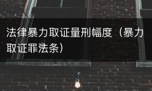 法律暴力取证量刑幅度（暴力取证罪法条）