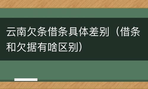 云南欠条借条具体差别（借条和欠据有啥区别）