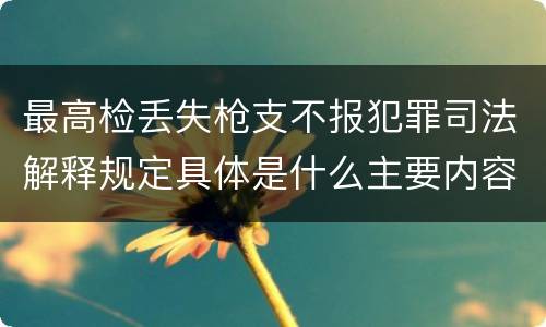 最高检丢失枪支不报犯罪司法解释规定具体是什么主要内容