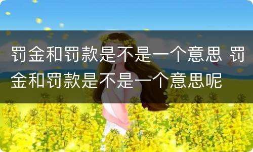 罚金和罚款是不是一个意思 罚金和罚款是不是一个意思呢