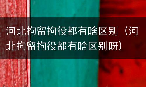 河北拘留拘役都有啥区别（河北拘留拘役都有啥区别呀）