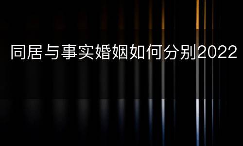 同居与事实婚姻如何分别2022