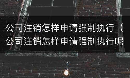 公司注销怎样申请强制执行（公司注销怎样申请强制执行呢）