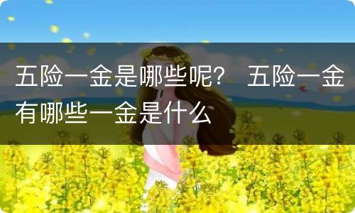 五险一金是哪些呢？ 五险一金有哪些一金是什么