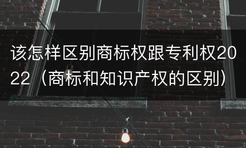 该怎样区别商标权跟专利权2022（商标和知识产权的区别）