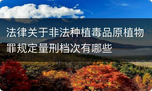 法律关于非法种植毒品原植物罪规定量刑档次有哪些