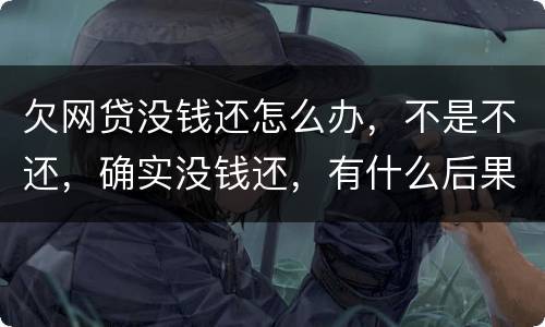 欠网贷没钱还怎么办，不是不还，确实没钱还，有什么后果吗