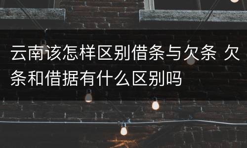 云南该怎样区别借条与欠条 欠条和借据有什么区别吗