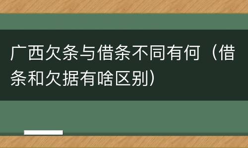 广西欠条与借条不同有何（借条和欠据有啥区别）
