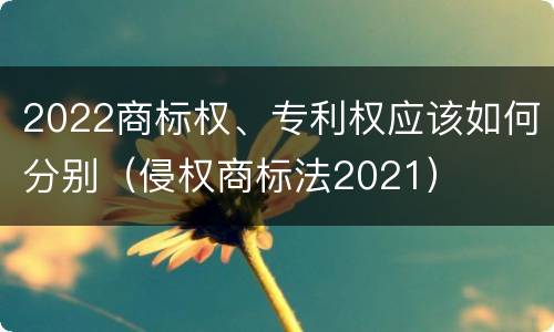 2022商标权、专利权应该如何分别（侵权商标法2021）