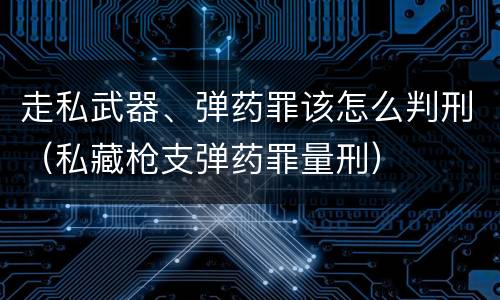 走私武器、弹药罪该怎么判刑（私藏枪支弹药罪量刑）