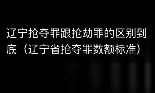 辽宁抢夺罪跟抢劫罪的区别到底（辽宁省抢夺罪数额标准）