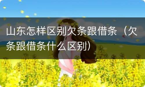 山东怎样区别欠条跟借条（欠条跟借条什么区别）