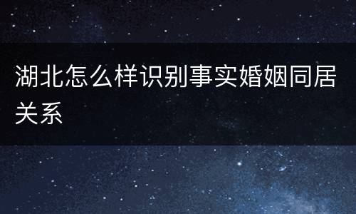 湖北怎么样识别事实婚姻同居关系