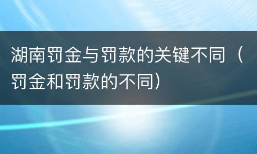 湖南罚金与罚款的关键不同（罚金和罚款的不同）