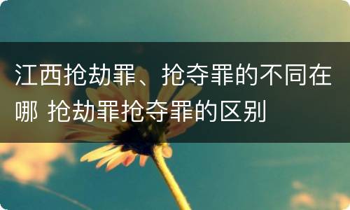 江西抢劫罪、抢夺罪的不同在哪 抢劫罪抢夺罪的区别
