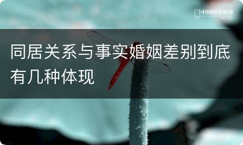 同居关系与事实婚姻差别到底有几种体现