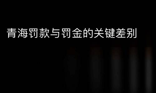 青海罚款与罚金的关键差别