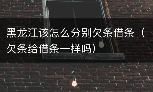 黑龙江该怎么分别欠条借条（欠条给借条一样吗）