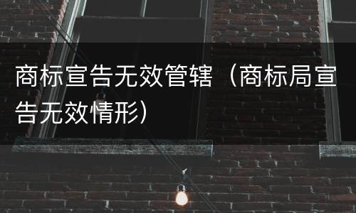 商标宣告无效管辖（商标局宣告无效情形）