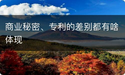 商业秘密、专利的差别都有啥体现