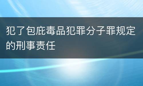 犯了包庇毒品犯罪分子罪规定的刑事责任
