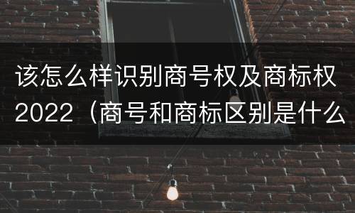 该怎么样识别商号权及商标权2022（商号和商标区别是什么）
