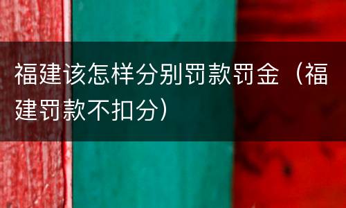 福建该怎样分别罚款罚金（福建罚款不扣分）