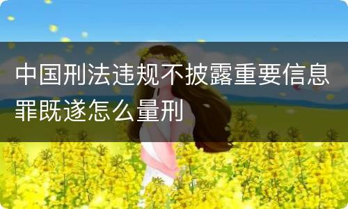 中国刑法违规不披露重要信息罪既遂怎么量刑