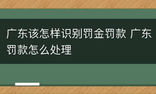 广东该怎样识别罚金罚款 广东罚款怎么处理