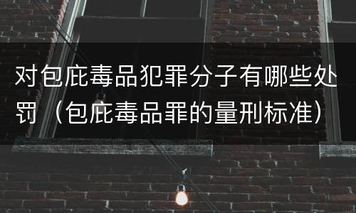对包庇毒品犯罪分子有哪些处罚（包庇毒品罪的量刑标准）