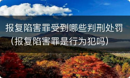 报复陷害罪受到哪些判刑处罚（报复陷害罪是行为犯吗）