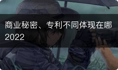 商业秘密、专利不同体现在哪2022