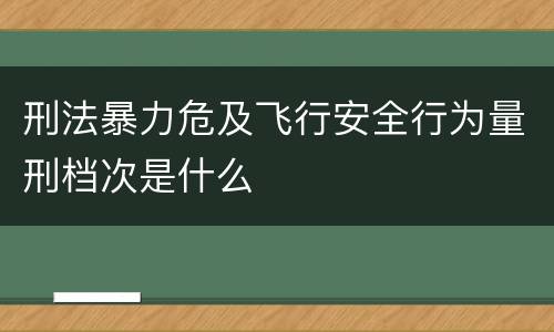 刑法暴力危及飞行安全行为量刑档次是什么