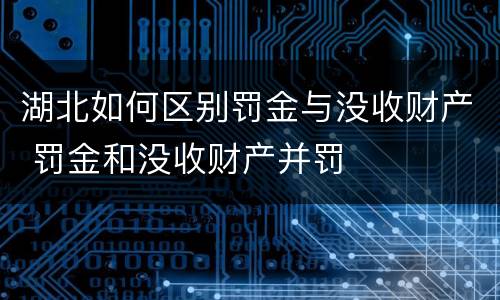 湖北如何区别罚金与没收财产 罚金和没收财产并罚